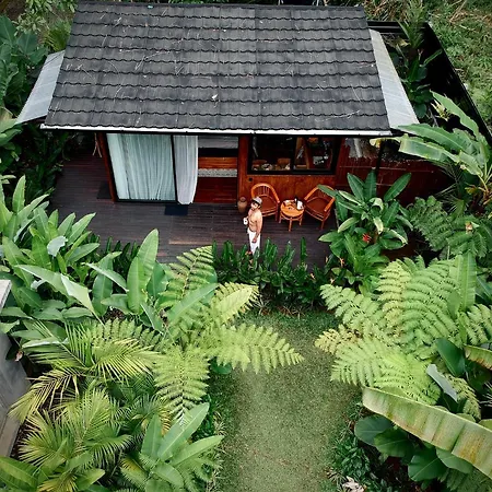 Kabinji Bali