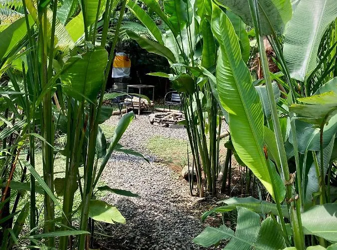 Kabinji Bali 4*