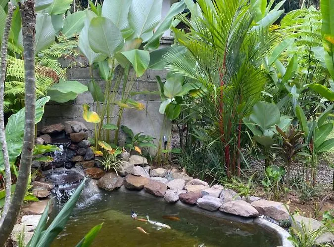 Kabinji Bali