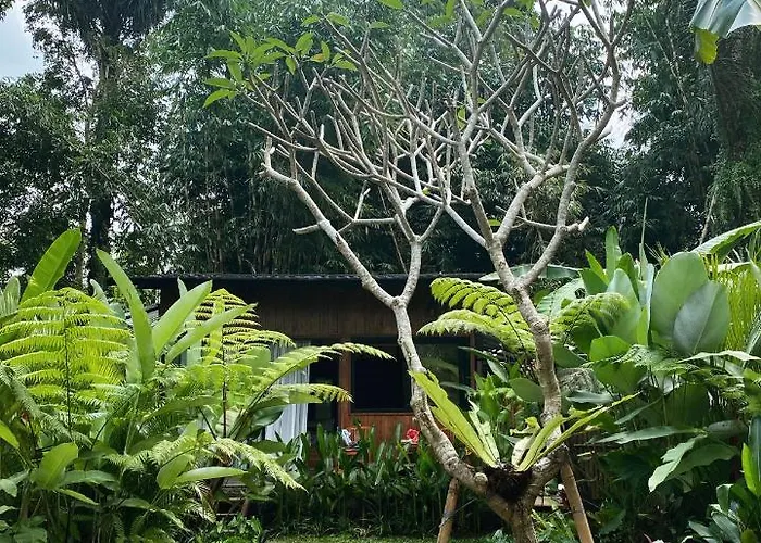 Kabinji Bali ベッド・アンド・ブレックファスト Tampaksiring