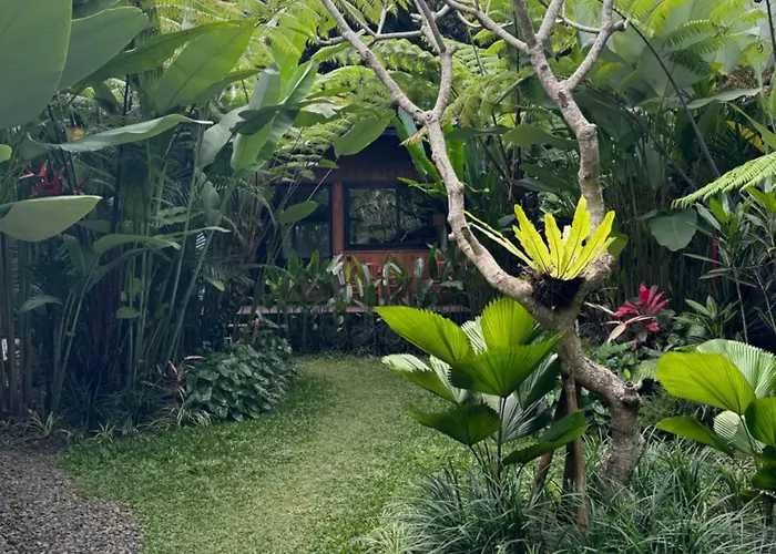 ベッド・アンド・ブレックファスト Kabinji Bali 4*